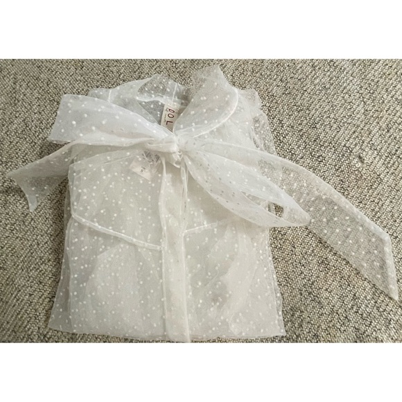 Anthropologie Dolan Sheer Tie-Neck Blouse NWT Size Small - Picture 11 of 15